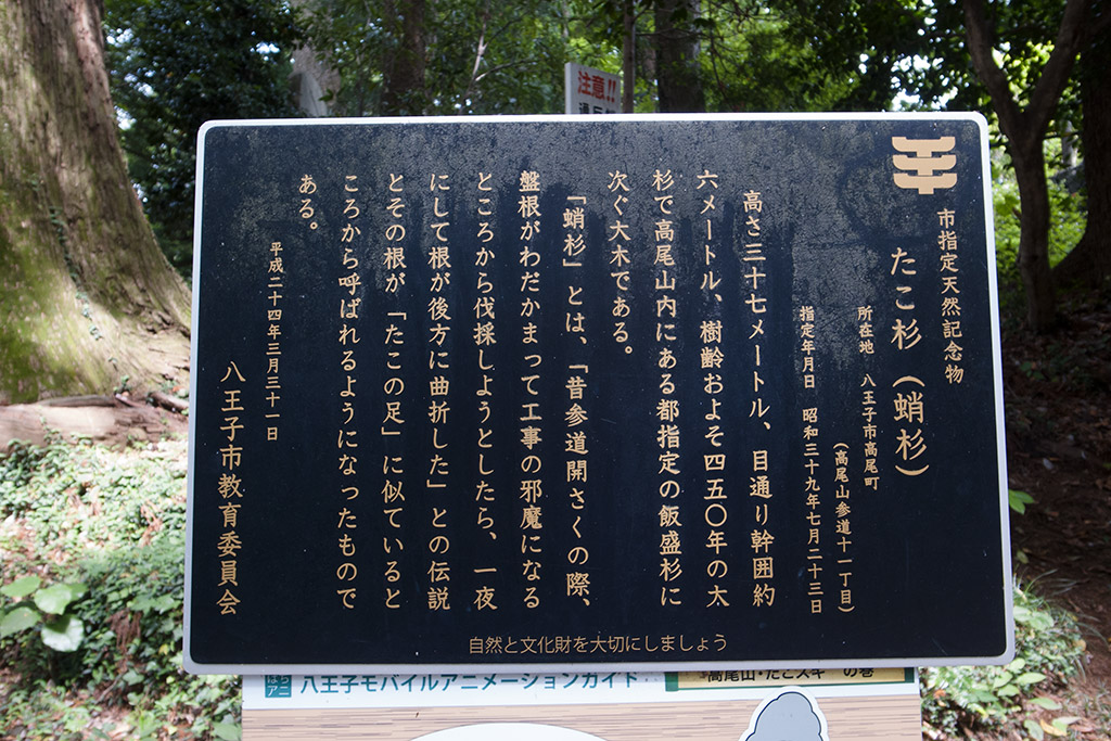 http://at-art.jp/wp-content/uploads/2015/11/takao_tako4.jpg http://at-art.jp/wp-content/uploads/2015/11/takao_tako4.jpg