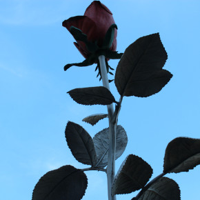 イザ・ゲンツケン / 薔薇 "Rose"