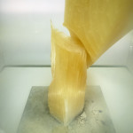 吉原悠博 / テクノエティック・ツリー “Technoetic trees”